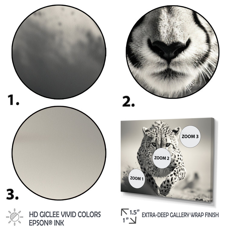 Ebern Designs " Africa Cheetahs Speed " on Canvas | Wayfair